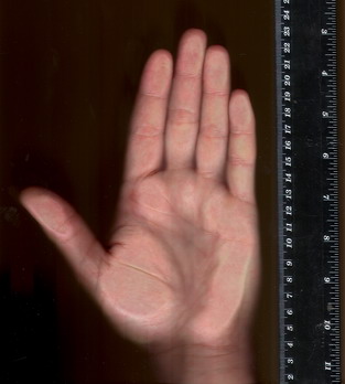 Scan of your hand